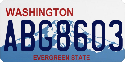 WA license plate ABG8603