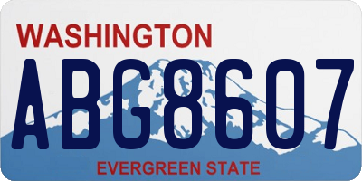 WA license plate ABG8607