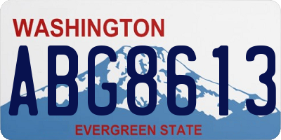 WA license plate ABG8613