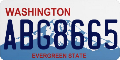 WA license plate ABG8665