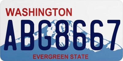 WA license plate ABG8667