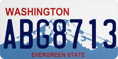 WA license plate ABG8713