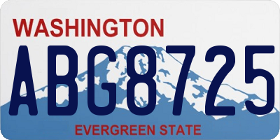 WA license plate ABG8725