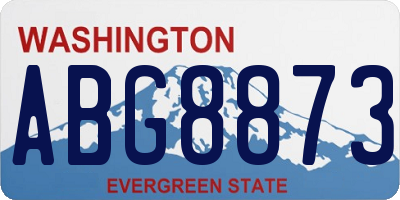 WA license plate ABG8873