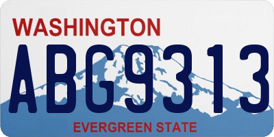 WA license plate ABG9313