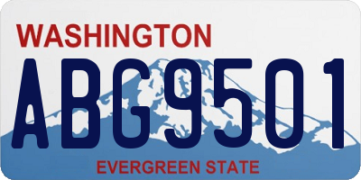 WA license plate ABG9501
