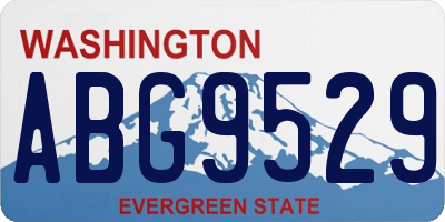 WA license plate ABG9529