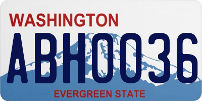 WA license plate ABH0036