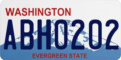 WA license plate ABH0202