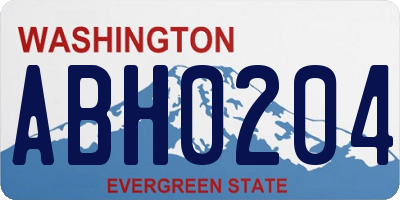 WA license plate ABH0204