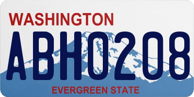 WA license plate ABH0208