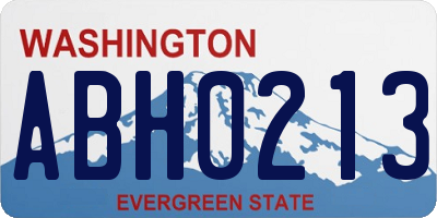 WA license plate ABH0213