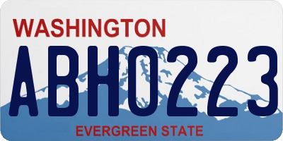 WA license plate ABH0223