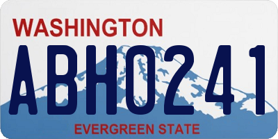 WA license plate ABH0241