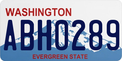 WA license plate ABH0289