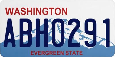 WA license plate ABH0291