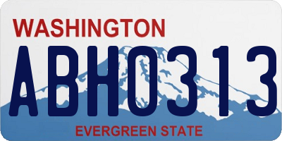 WA license plate ABH0313