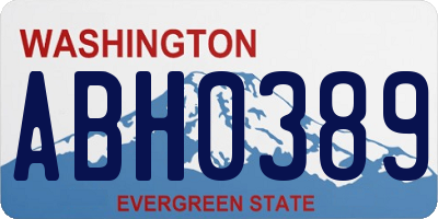 WA license plate ABH0389