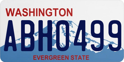 WA license plate ABH0499