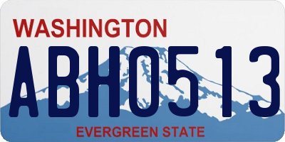 WA license plate ABH0513