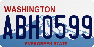 WA license plate ABH0599