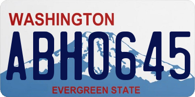 WA license plate ABH0645