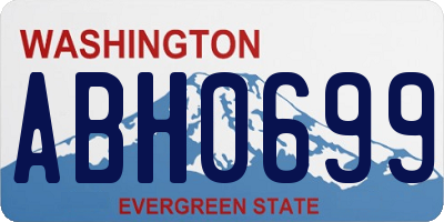 WA license plate ABH0699