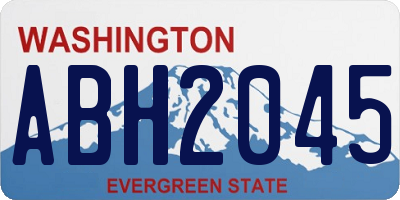 WA license plate ABH2045