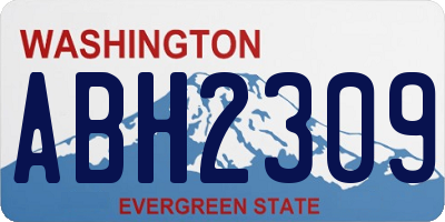 WA license plate ABH2309