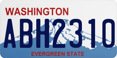 WA license plate ABH2310