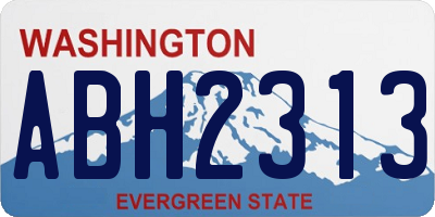 WA license plate ABH2313