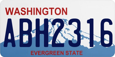 WA license plate ABH2316