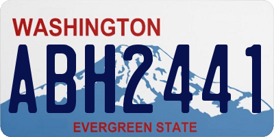 WA license plate ABH2441