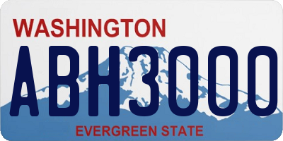 WA license plate ABH3000