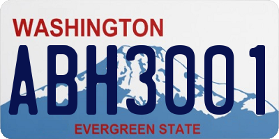 WA license plate ABH3001