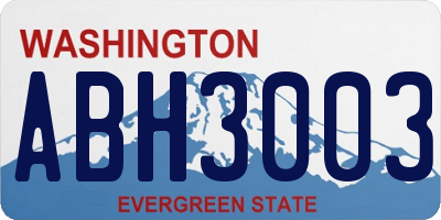 WA license plate ABH3003