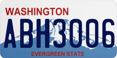 WA license plate ABH3006