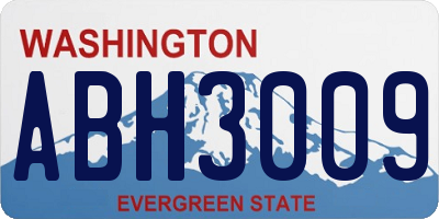 WA license plate ABH3009