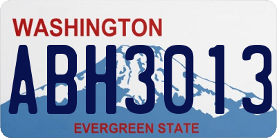 WA license plate ABH3013