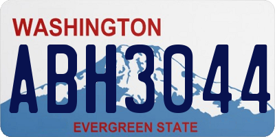 WA license plate ABH3044