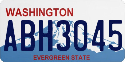 WA license plate ABH3045