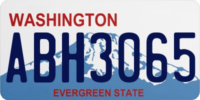 WA license plate ABH3065