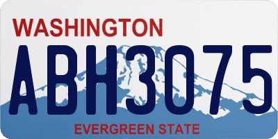 WA license plate ABH3075