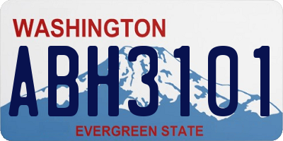 WA license plate ABH3101
