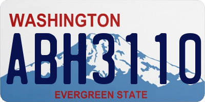 WA license plate ABH3110