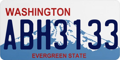 WA license plate ABH3133