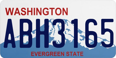 WA license plate ABH3165