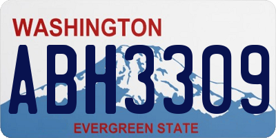 WA license plate ABH3309