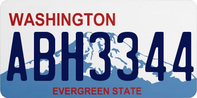 WA license plate ABH3344