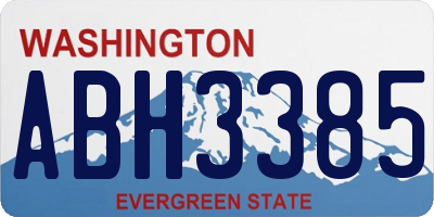 WA license plate ABH3385